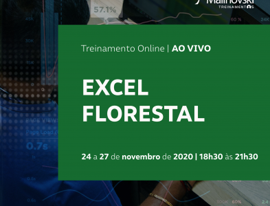 Excel Florestal