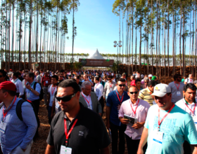 Expoforest 2014: Público Qualificado e Bons Negócios