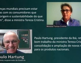 Ministra Tereza Cristina afirma que setor de base florestal é “case de sucesso em todo o Brasil”
