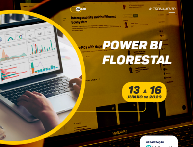 4° TREINAMENTO DE POWER BI FLORESTAL