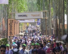 Expoforest Tem Mais de 200 Expositores Confirmados