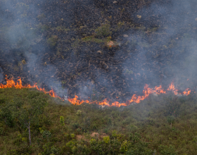 Fogo Para Previnir Incêndios Florestais