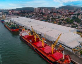 Novo Terminal em Santos Pode Escoar 3 Milhões de Toneladas de Celulose Por Ano