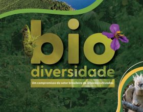 Na COP16, Ibá lança estudo com compromissos para biodiversidade