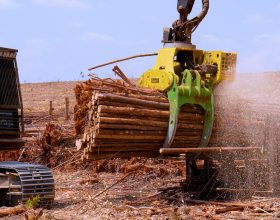 Equipamentos para colheita de eucalipto e movimentação de toras