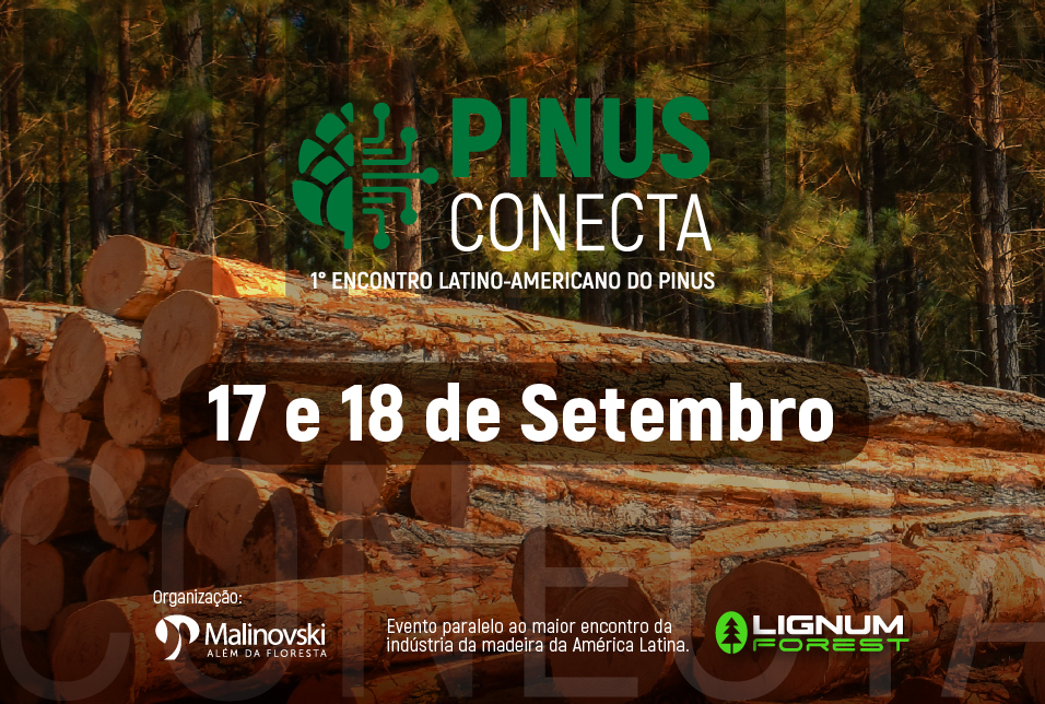 Pinus Conecta