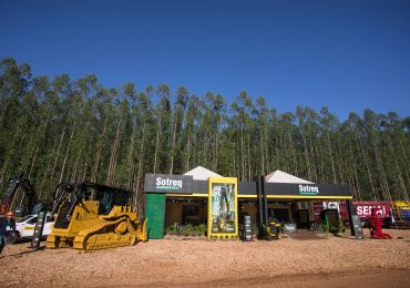 Sotreq Florestal: soluções para a indústria de árvores cultivadas