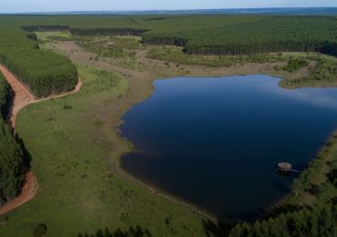 Arauco lança pedra fundamental da fábrica de celulose em Inocência/MS