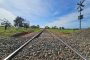 ANTT aprova ramal ferroviário da Arauco 