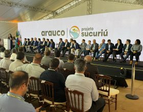 Arauco produzirá 3,5 milhões de toneladas de celulose por ano em Inocência/MS