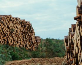 SC tem dados consolidados do setor em 2024